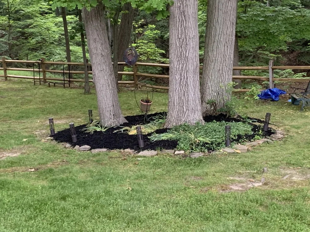 Reliable lawn mowing service in cleveland heights, OH - Top Teer Landscaping