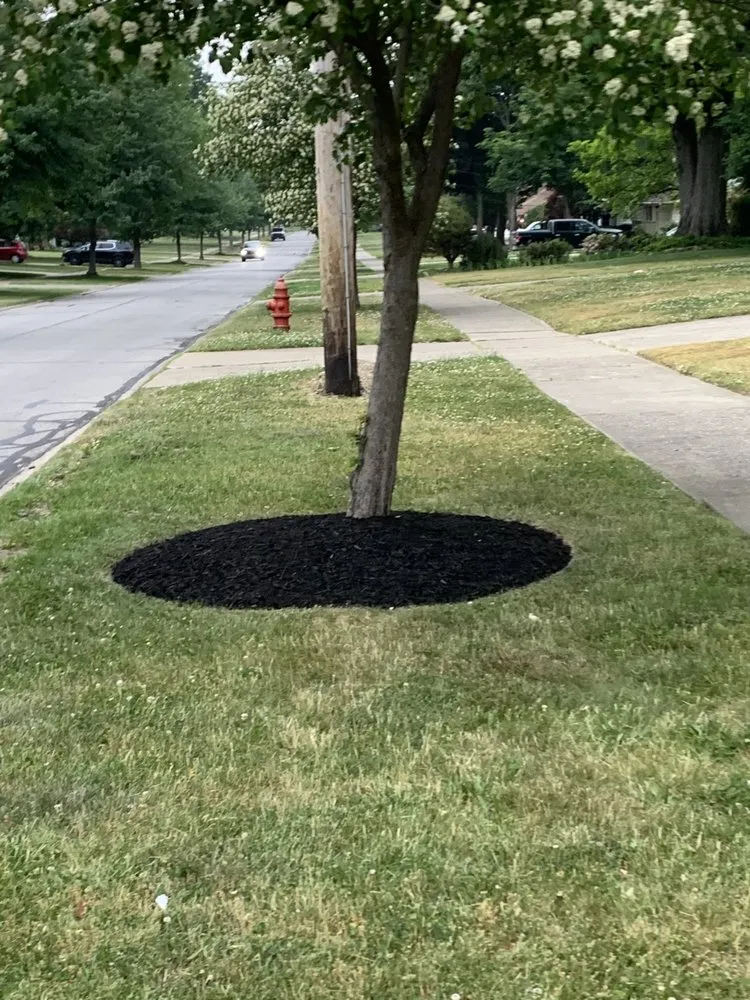 Professional outdoor landscaping in cleveland heights, OH - Top Teer Landscaping