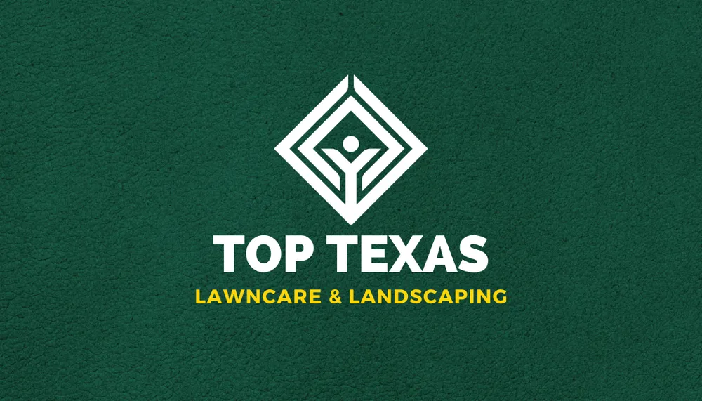 Affordable yard cleanup service in China Spring, TX - Top Texas