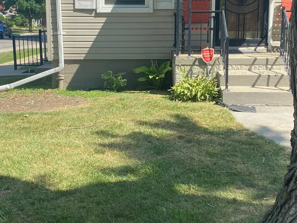 Local yard cleanup service in Westland, MI by Top Tier Cuts