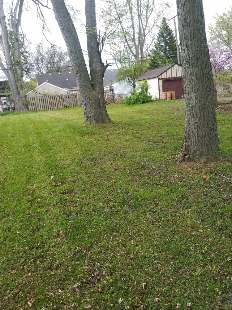 Reliable garden landscaping in Westland, MI by Top Tier Cuts