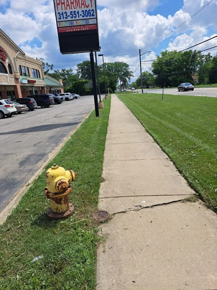 Custom yard cleanup service for outdoor upgrades across Westland, MI - Top Tier Cuts