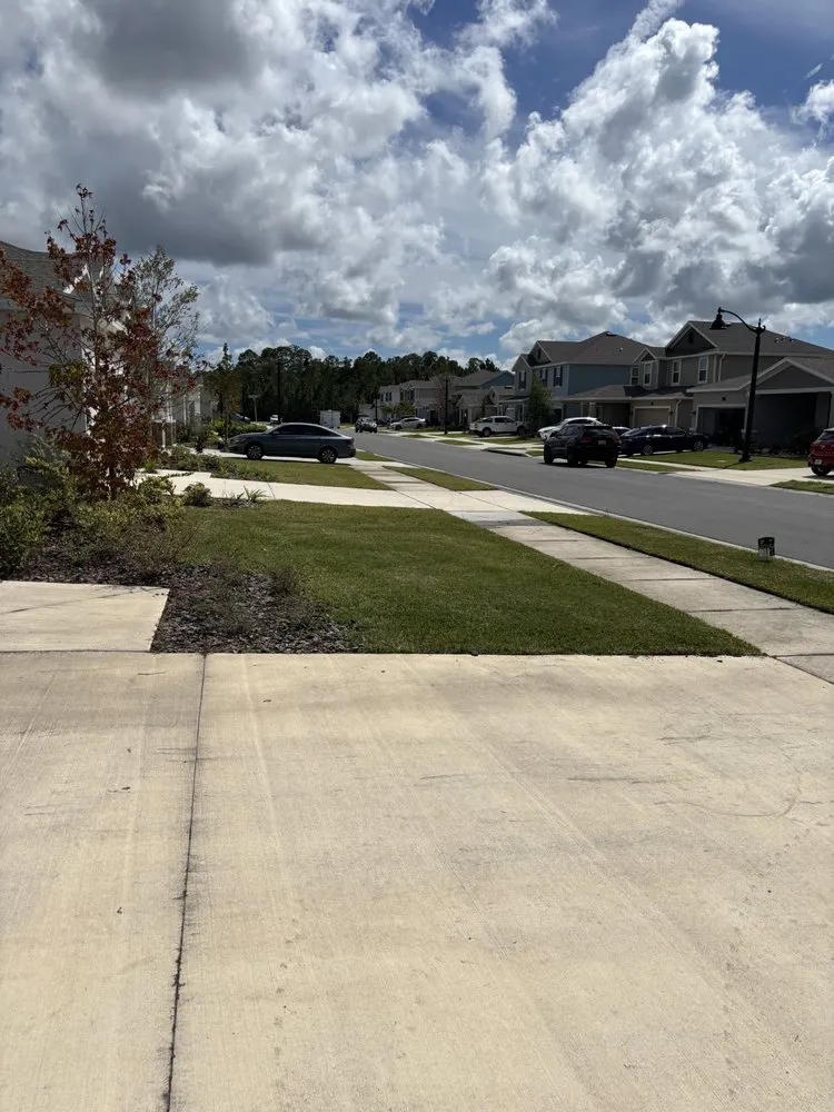 Professional yard cleanup service for outdoor upgrades in Daytona Beach, FL by Top Tier EC