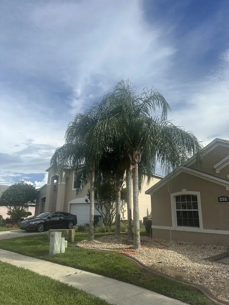 Top-rated garden landscaping for outdoor upgrades in Daytona Beach, FL by Top Tier EC