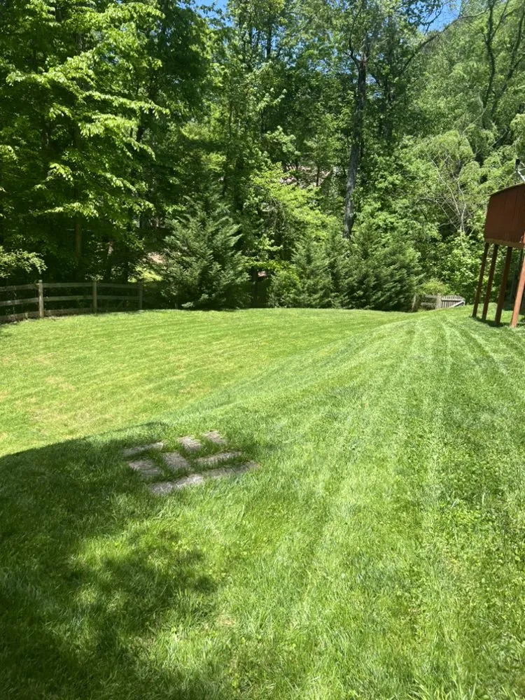 Custom residential landscaping for homes in Ellenwood, GA by T.O.P. T.I.E.R.