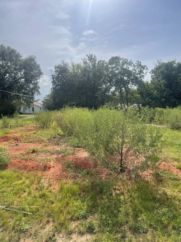 Affordable yard cleanup service in Picayune, MS by Top Tier Handyman & Construction