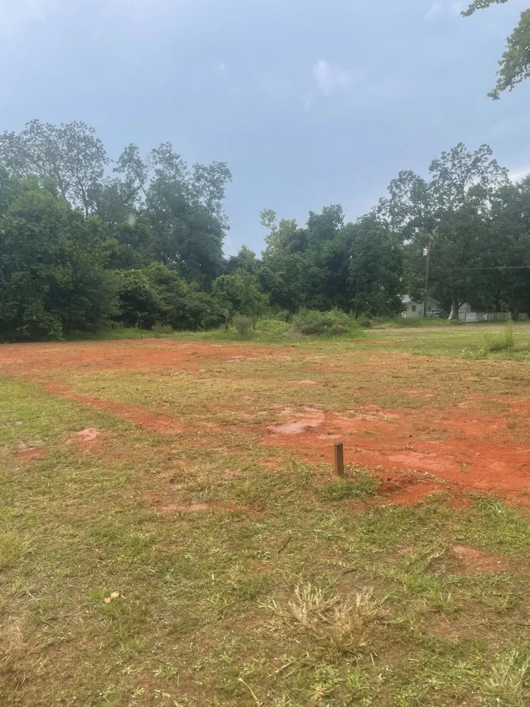 Expert yard cleanup service in Picayune, MS - Top Tier Handyman & Construction