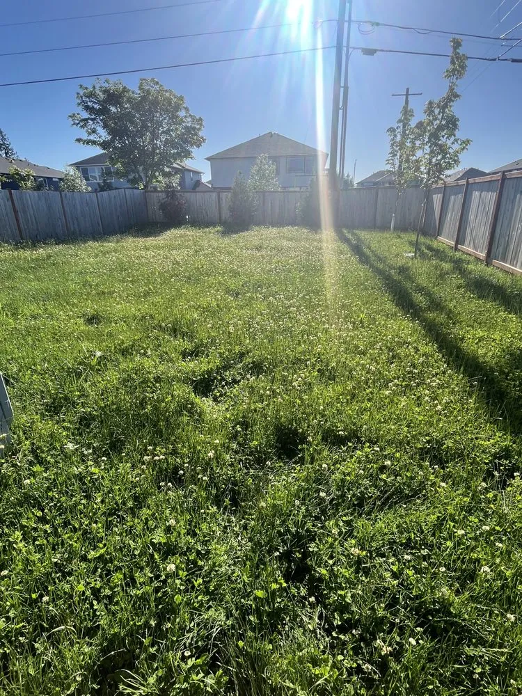 Professional residential landscaping for homes in Snohomish, WA by Top Tier Landscape & Construction