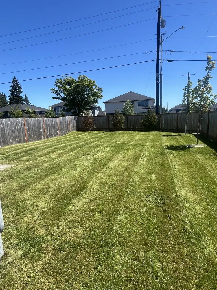 Custom garden landscaping experts serving Snohomish, WA - Top Tier Landscape & Construction