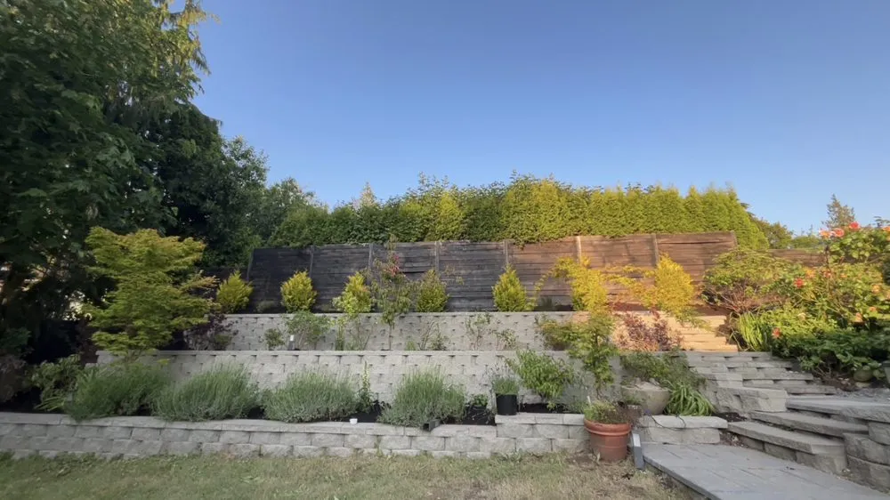 Professional yard maintenance near you in Snohomish, WA by Top Tier Landscape & Construction