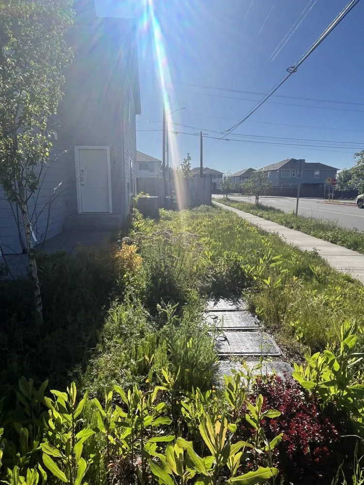 Custom yard maintenance experts serving Snohomish, WA - Top Tier Landscape & Construction