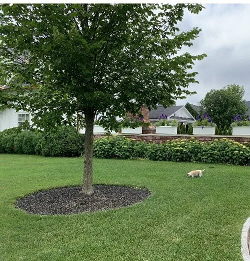 Professional landscape design for residential properties across Bridgewater, NJ - Top-Tier Landscaping