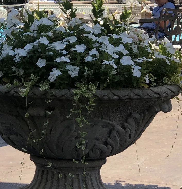 Local lawn care service in Bridgewater, NJ by Top-Tier Landscaping