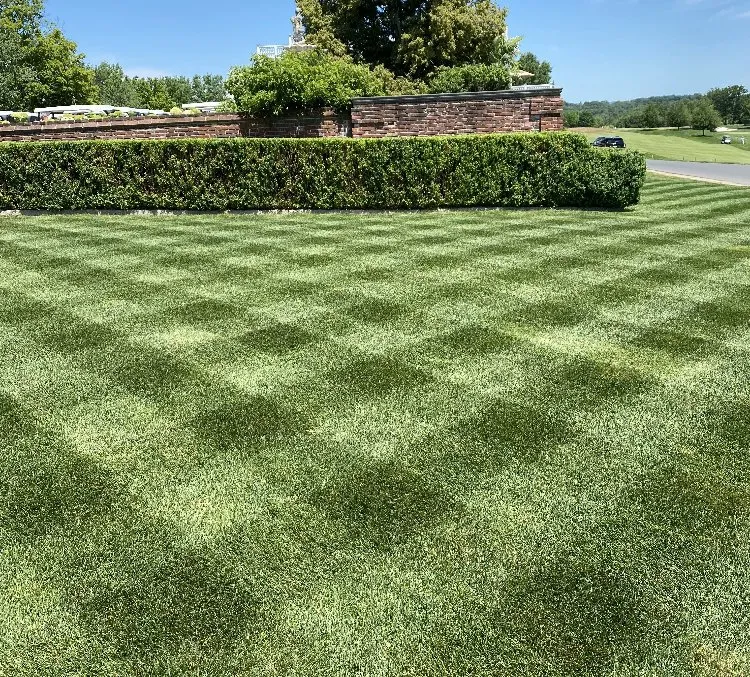 Professional landscape design in Bridgewater, NJ by Top-Tier Landscaping