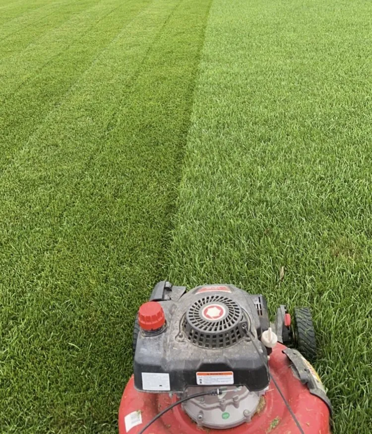 Top-rated landscape installation in Bridgewater, NJ - Top-Tier Landscaping