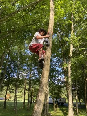 Top-Tier Landscaping Logo