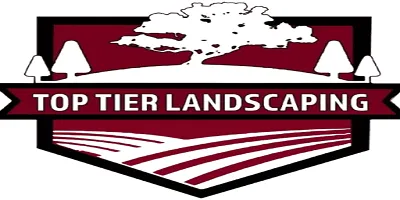 Affordable yard cleanup service for outdoor upgrades in Kansas City, KS by Top Tier Landscaping