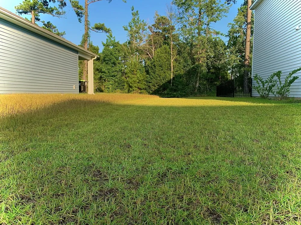 Professional residential landscaping in Longs, SC - Top Tier Landscaping