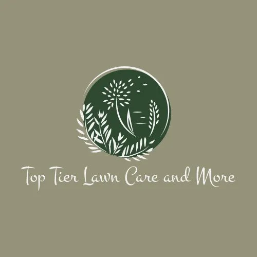 Top-rated yard cleanup service in Leicester, NC by Top Tier Lawn Care and More