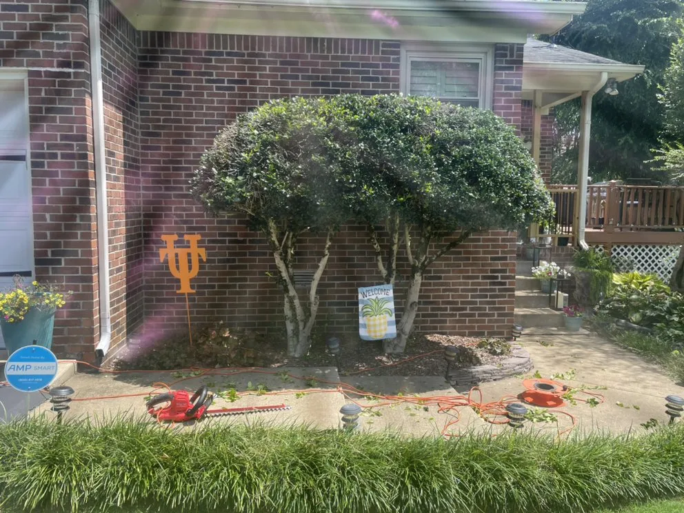 Local landscape installation in Columbia, TN - Top Tier lawn care
