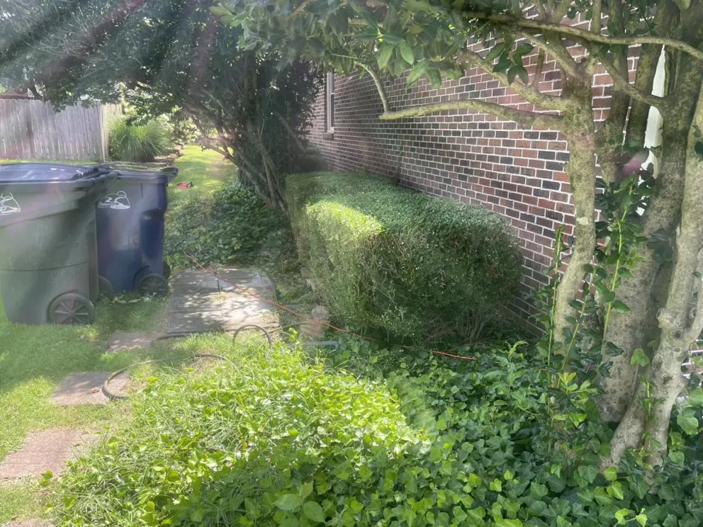 Professional garden landscaping experts serving Columbia, TN - Top Tier lawn care