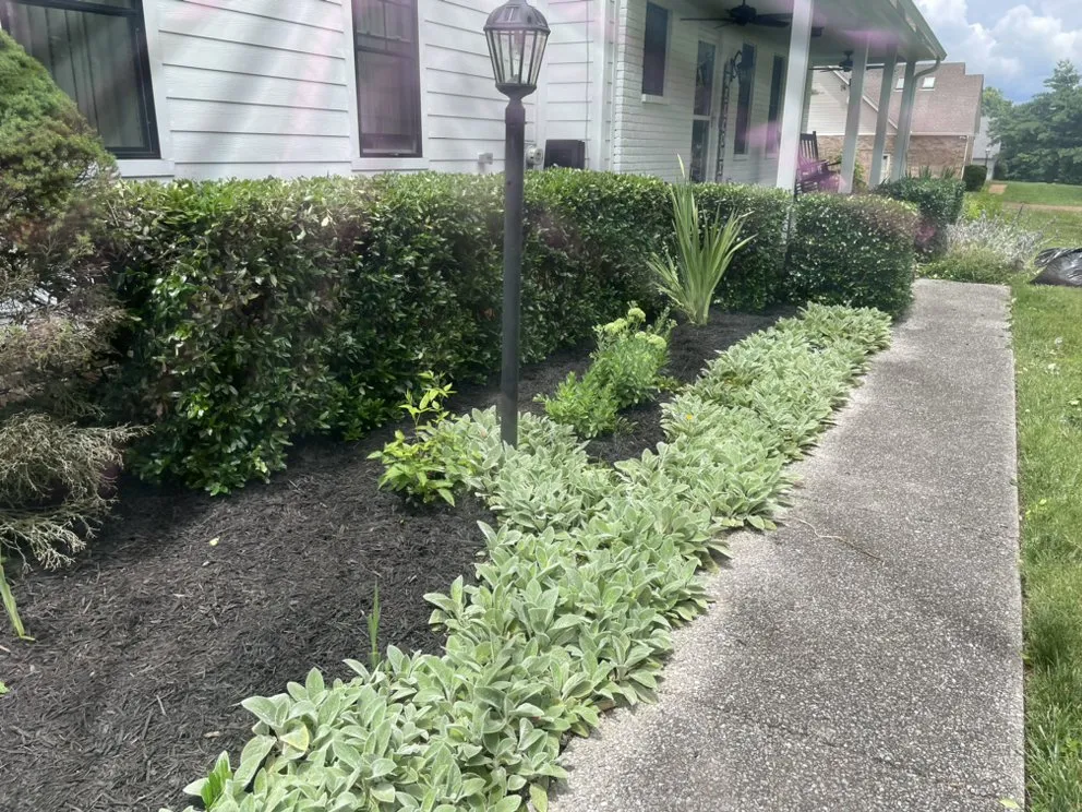 Reliable yard cleanup service in Columbia, TN - Top Tier lawn care