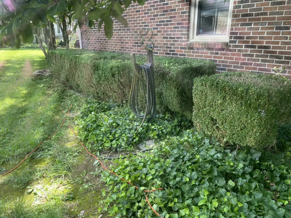 Reliable landscaping services in Columbia, TN by Top Tier lawn care