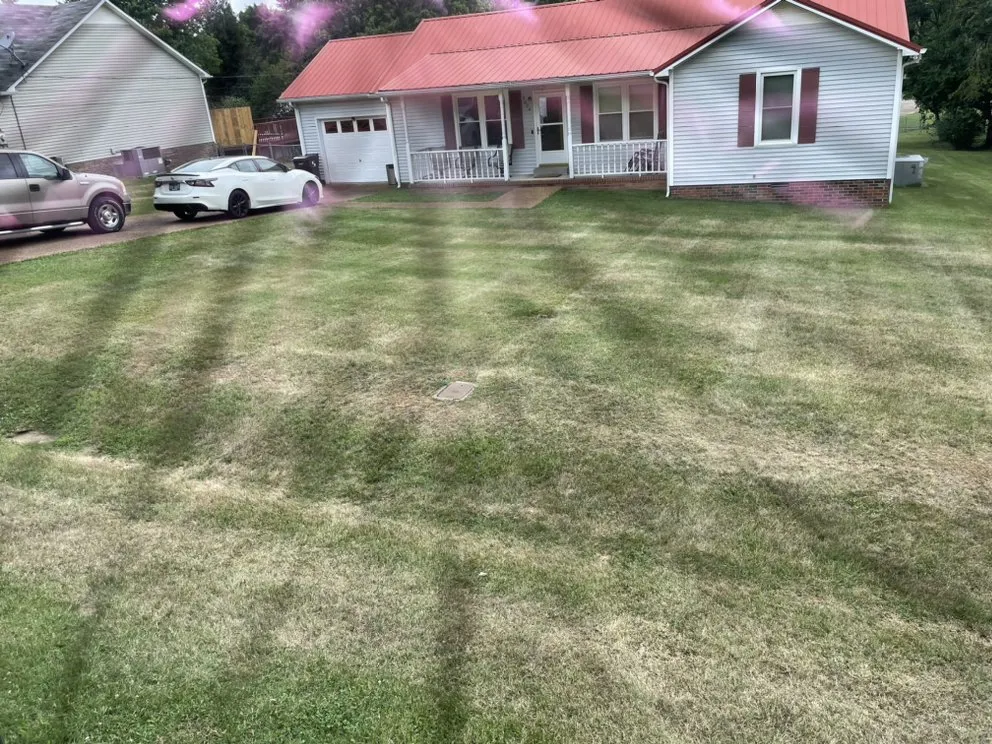 Custom yard cleanup service for beautiful yards across Columbia, TN - Top Tier lawn care