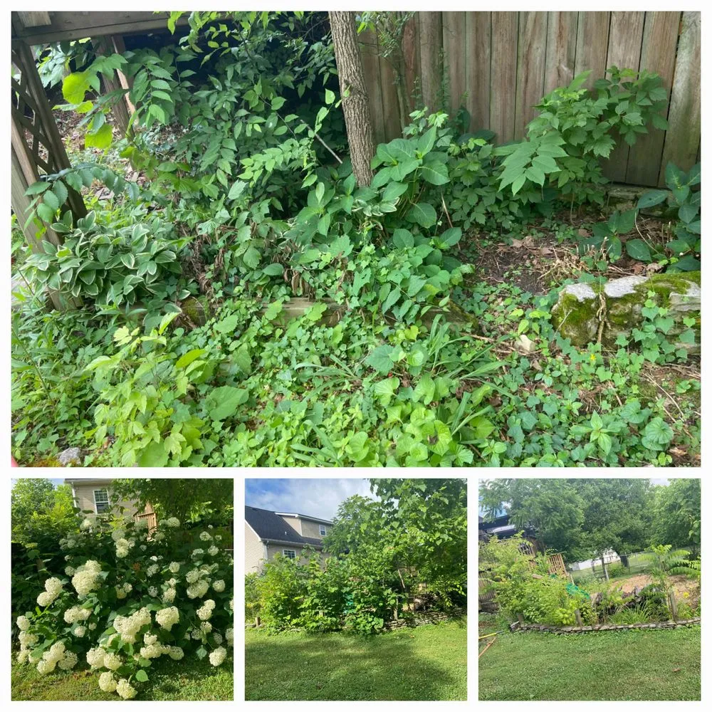 Custom landscaping services in Columbia, TN by Top Tier lawn care