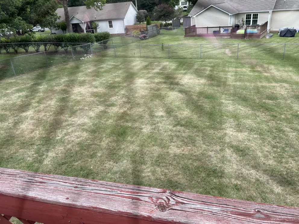 Local residential landscaping for residential properties across Columbia, TN - Top Tier lawn care