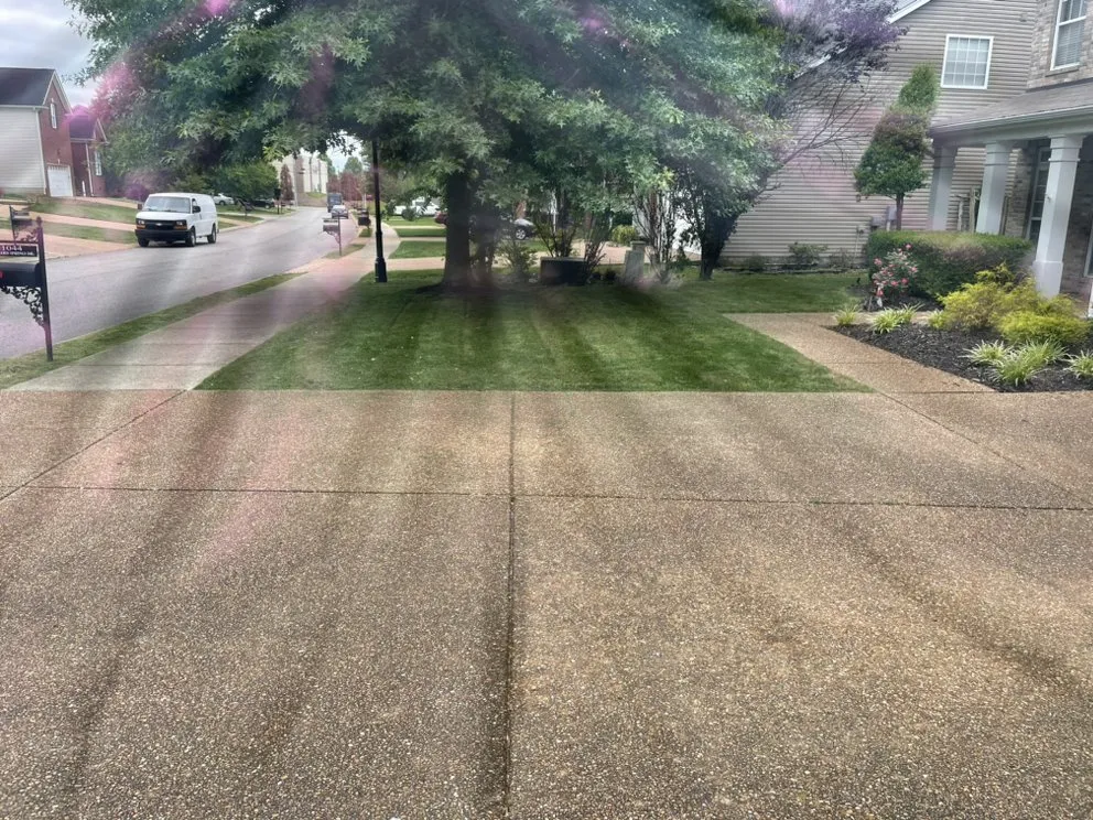 Custom yard maintenance for outdoor upgrades across Columbia, TN - Top Tier lawn care