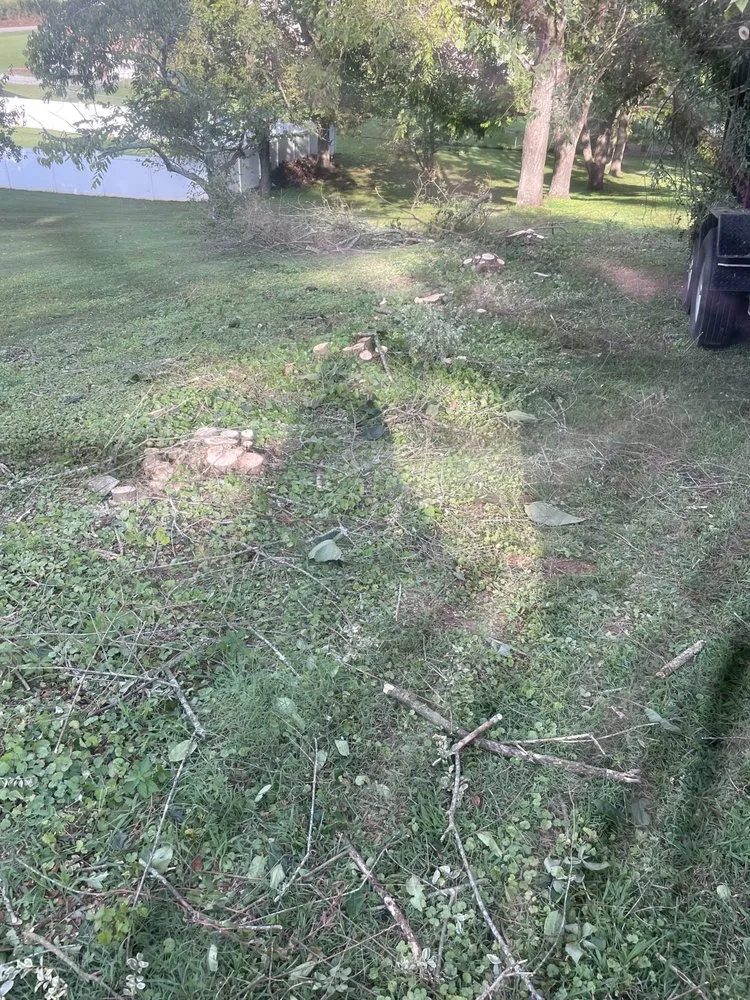 Custom landscape installation in Columbia, TN by Top Tier lawn care