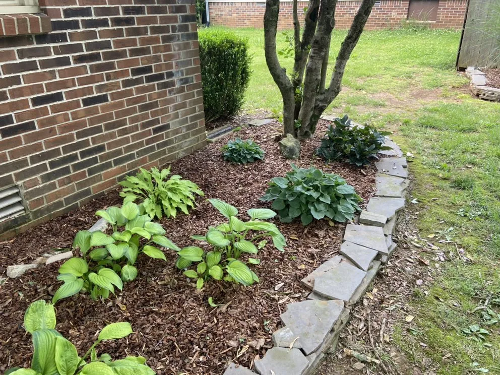 Top-rated landscaping services in Columbia, TN - Top Tier lawn care