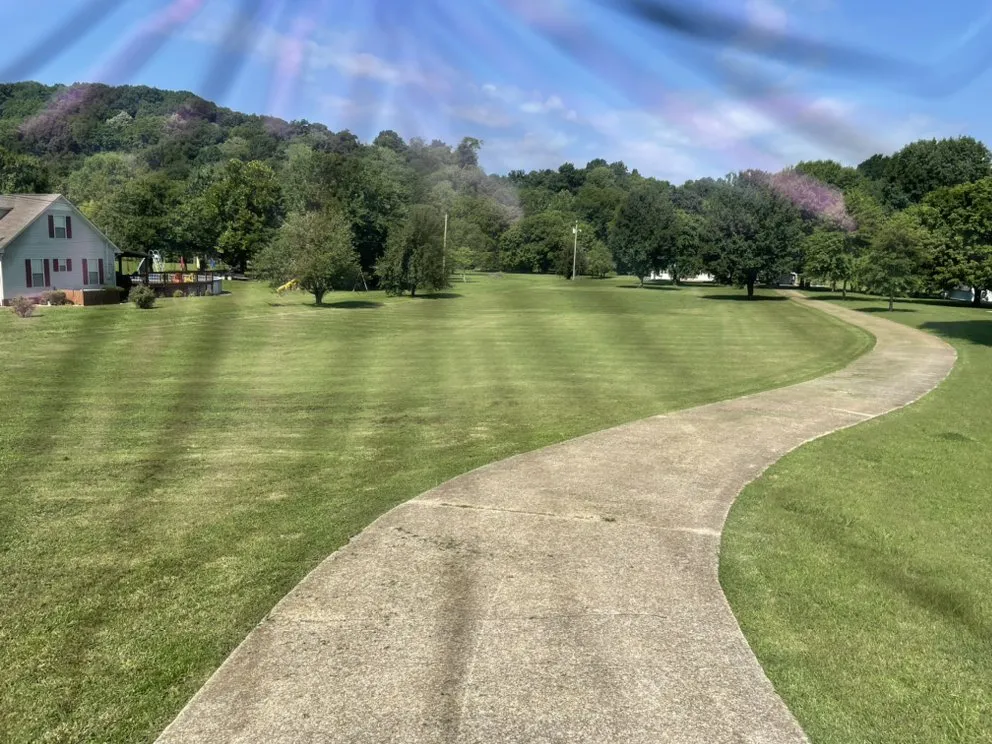 Professional yard cleanup service for residential properties in Columbia, TN by Top Tier lawn care