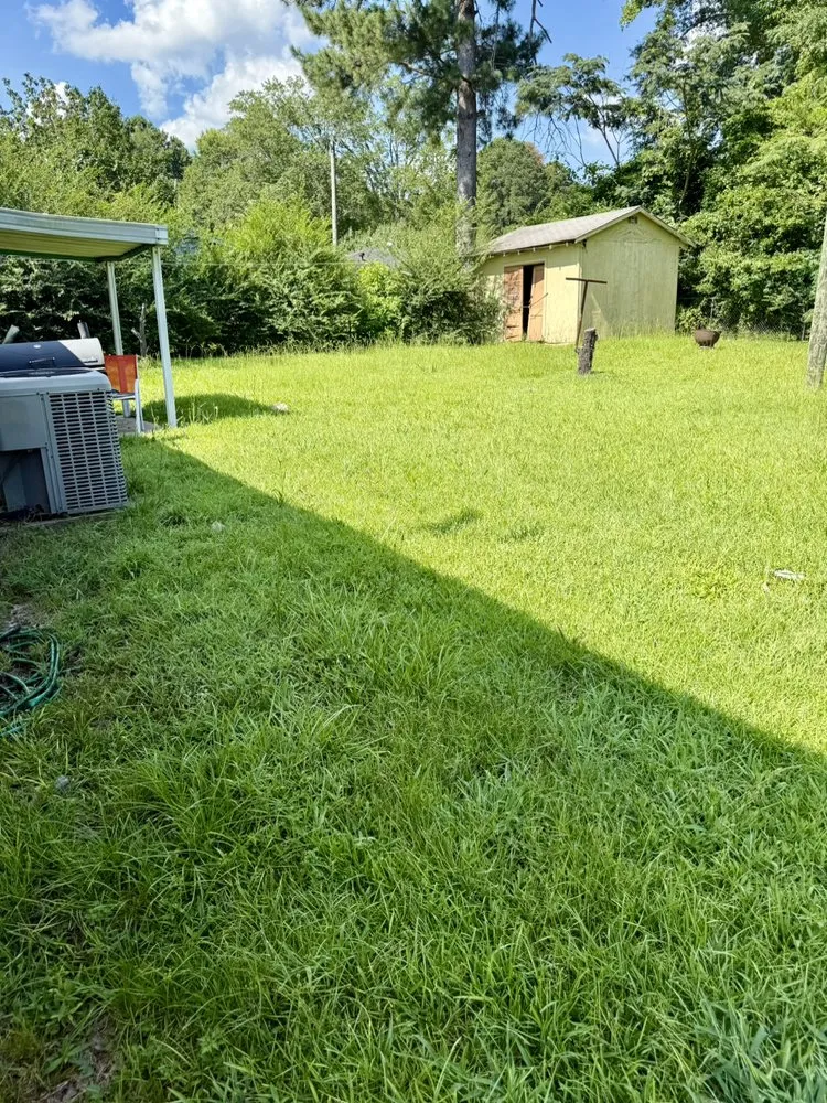 Trusted lawn mowing service in Jonesboro, LA - Top Tier Lawn Care