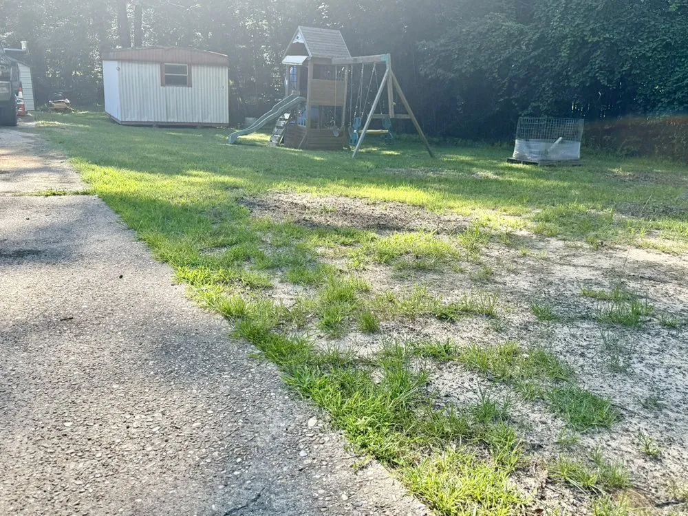 Custom residential landscaping for homes across Jonesboro, LA - Top Tier Lawn Care