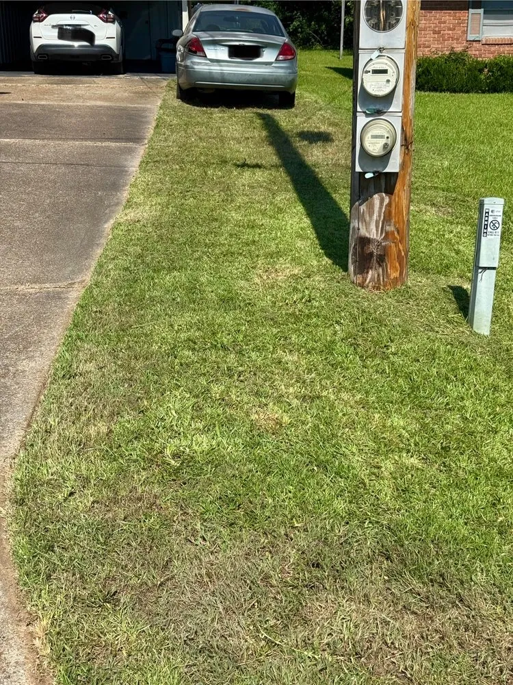 Affordable residential landscaping experts serving Jonesboro, LA - Top Tier Lawn Care