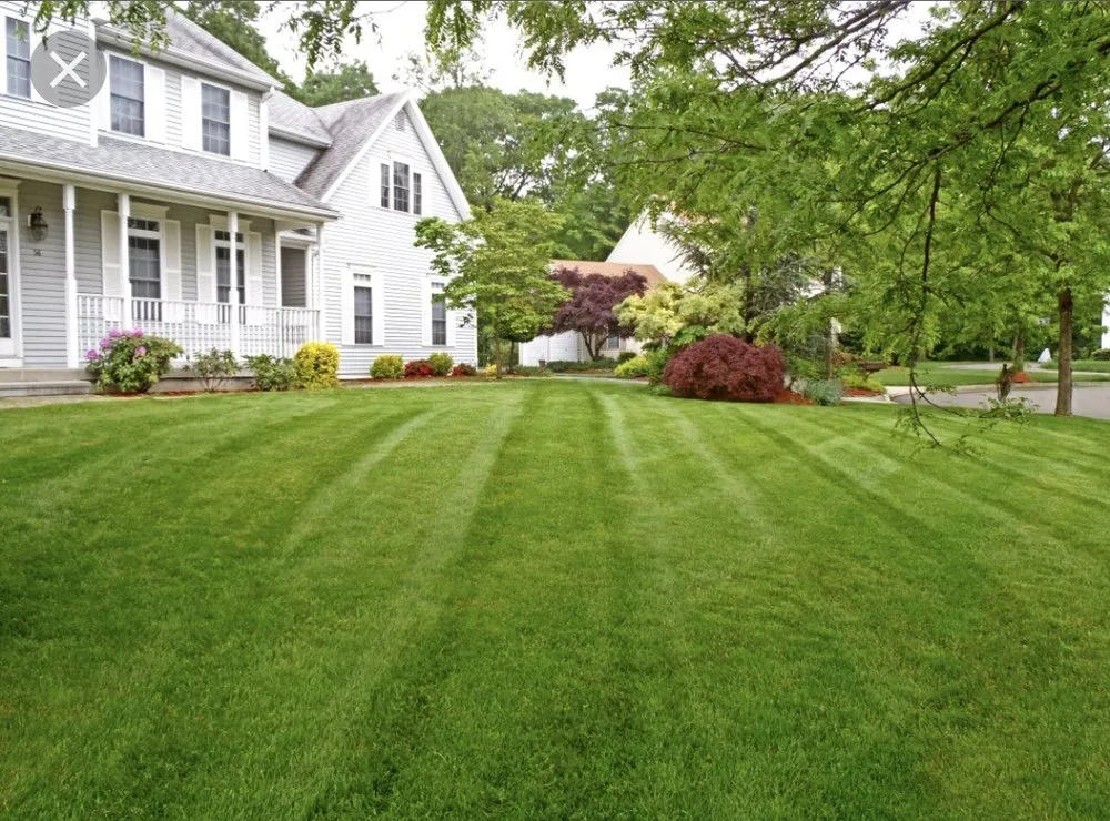 Custom landscape design for beautiful yards across Lithia Springs, GA - Top Tier Lawn Care