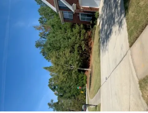 Affordable garden landscaping for beautiful yards across Lithia Springs, GA - Top Tier Lawn Care