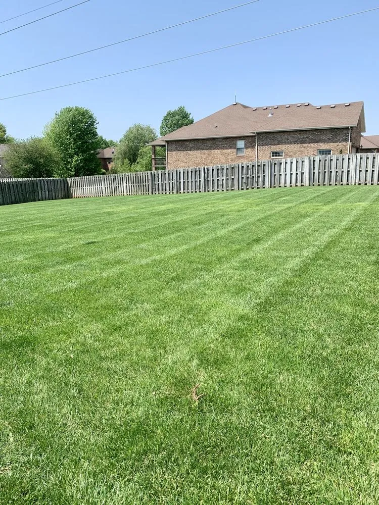 Professional landscape design for beautiful yards across Springfield, MO - Top Tier Lawn