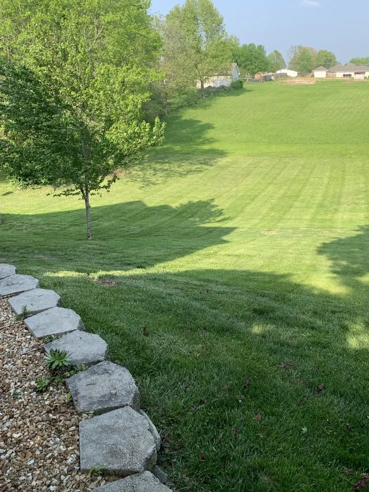 Custom lawn care service experts serving Springfield, MO - Top Tier Lawn