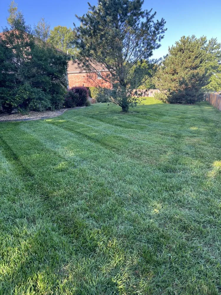 Expert lawn mowing service in Springfield, MO - Top Tier Lawn