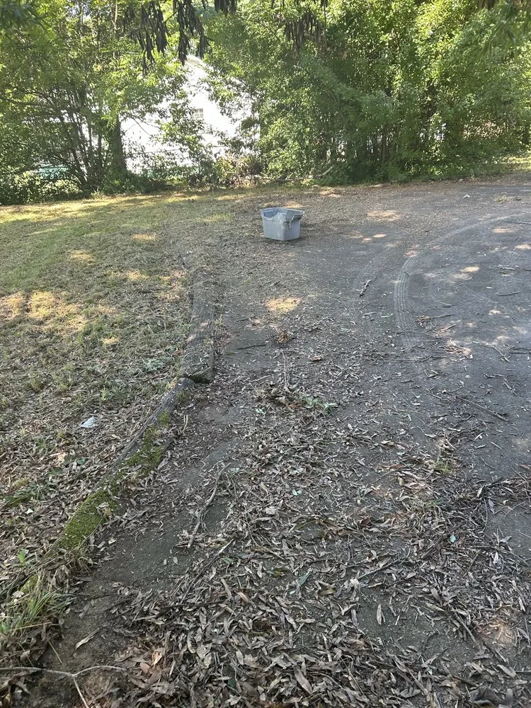 Expert landscape design in Spartanburg, SC by Top Tier Lawncare