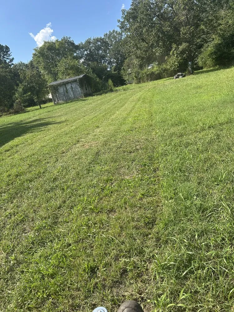 Expert landscape design with custom design in Spartanburg, SC by Top Tier Lawncare