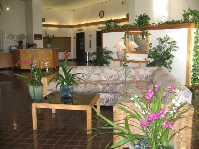 Trusted lawn mowing service in Spartanburg, SC - Top Tier Lawncare