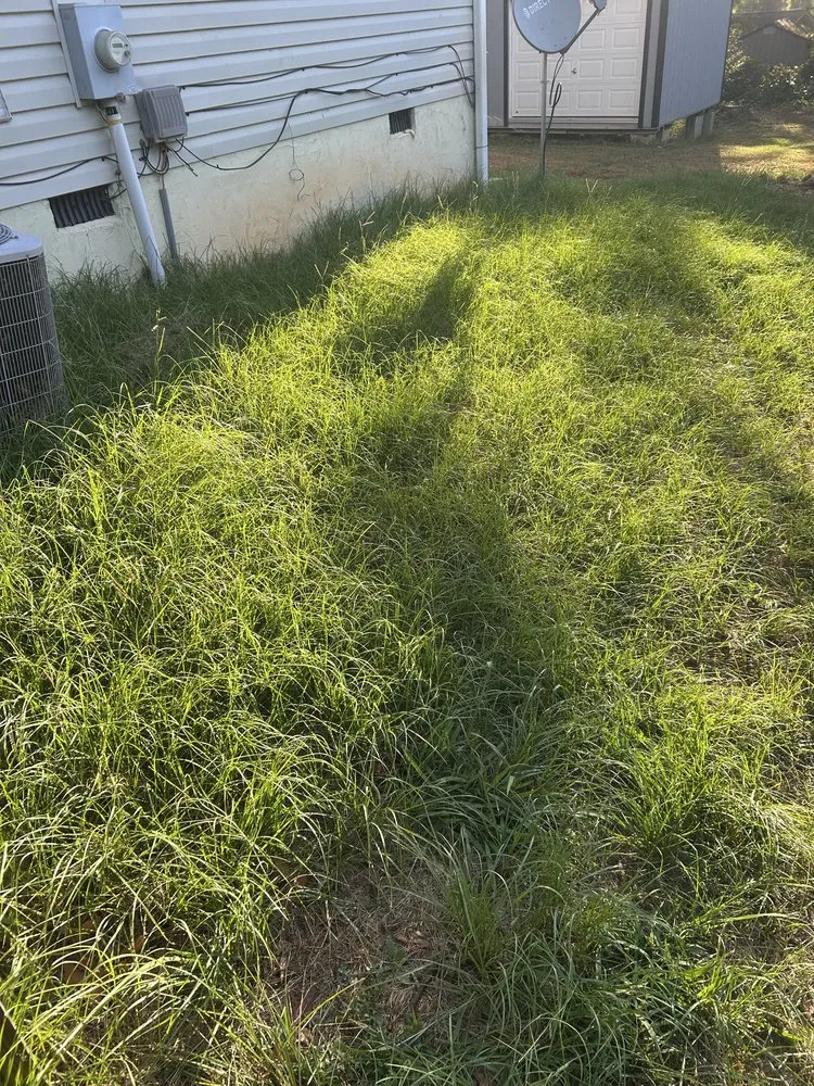 Expert landscape design for outdoor upgrades in Spartanburg, SC by Top Tier Lawncare