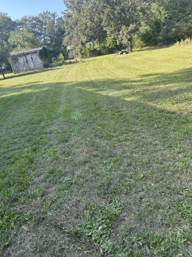 Local lawn mowing service for outdoor upgrades across Spartanburg, SC - Top Tier Lawncare