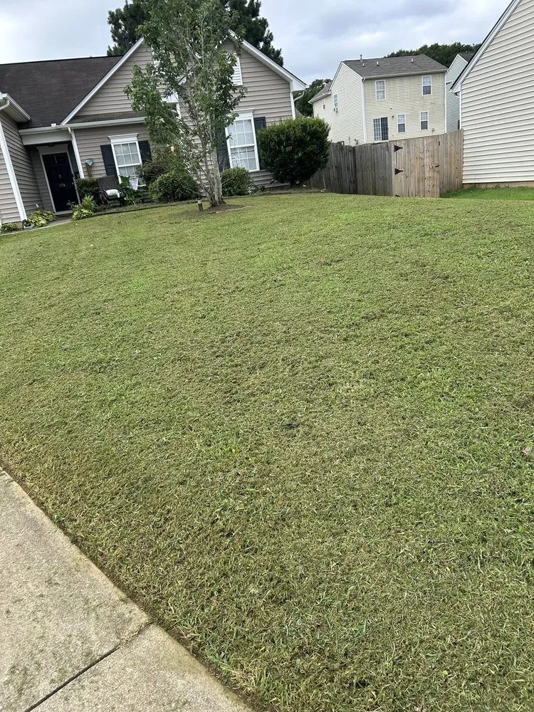 Top-rated lawn care service near you in Spartanburg, SC by Top Tier Lawncare