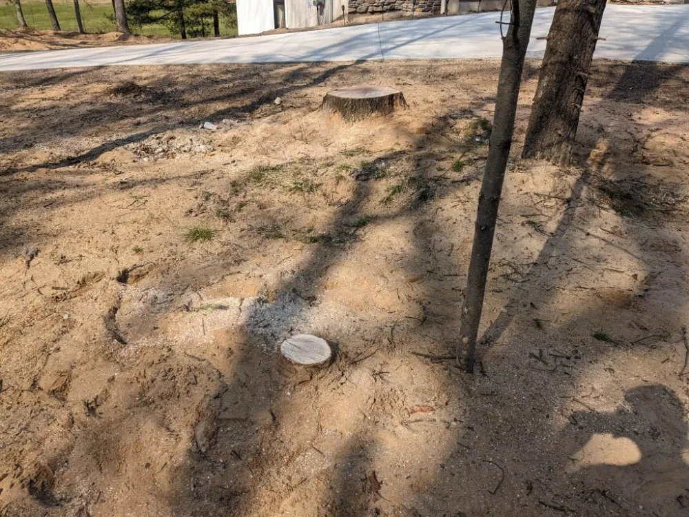 Expert yard maintenance in Muskegon, MI - Top-Tier Outdoor Services