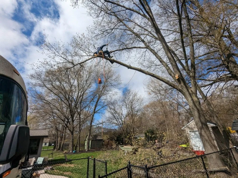 Local garden landscaping experts serving Muskegon, MI - Top-Tier Outdoor Services